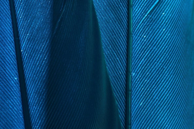 A close-up of various fabric textures and patterns used in formal wear, highlighting the richness and variety of materials available for creating unique looks. The arrangement includes silk, velvet, lace, and sequins.